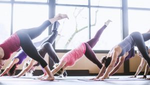 Basiskurs Offene Kursstunden Greenspirit Yoga