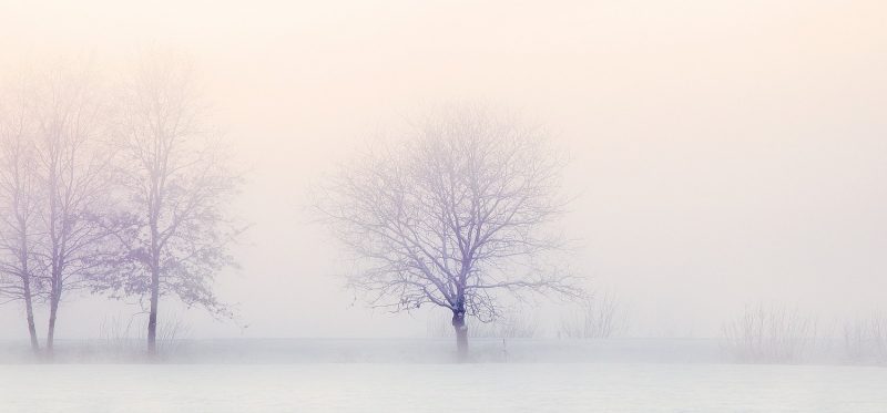 winter-landscape-sm winter-landscape-sm